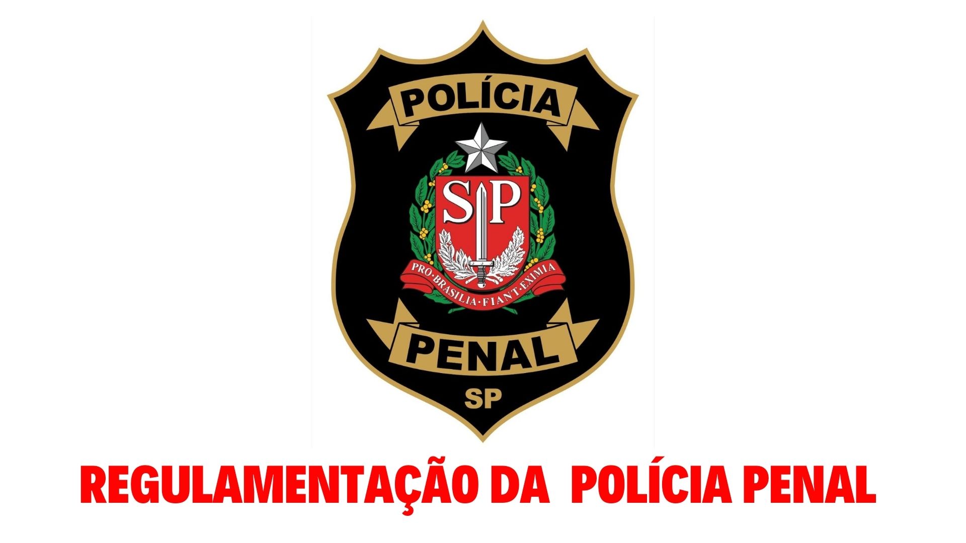 Prioridade para regulamentação da Polícia Penal ganha apoio de municípios paulistas
